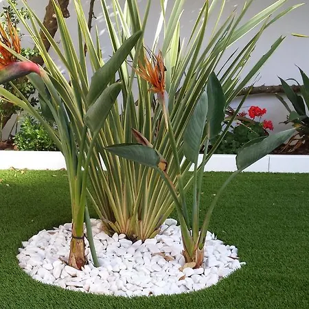 Hortus Iii Lagos